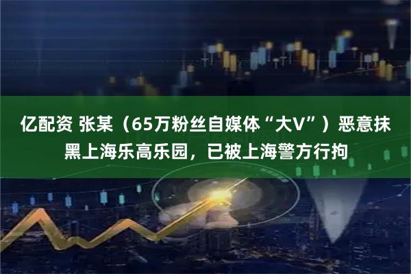 亿配资 张某（65万粉丝自媒体“大V”）恶意抹黑上海乐高乐园，已被上海警方行拘