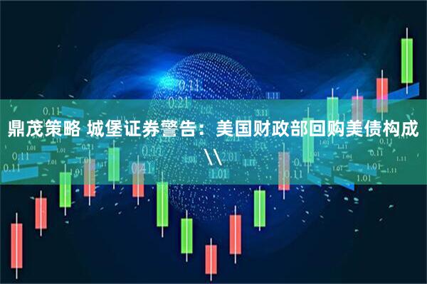 鼎茂策略 城堡证券警告：美国财政部回购美债构成\